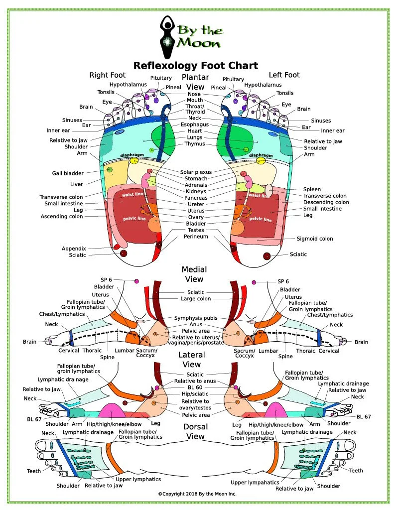 Reflexology foot chart showing pressure points on both feet, with detailed labels for different zones and corresponding organs or areas of the body, viewed from the medial, lateral, and dorsal sides.