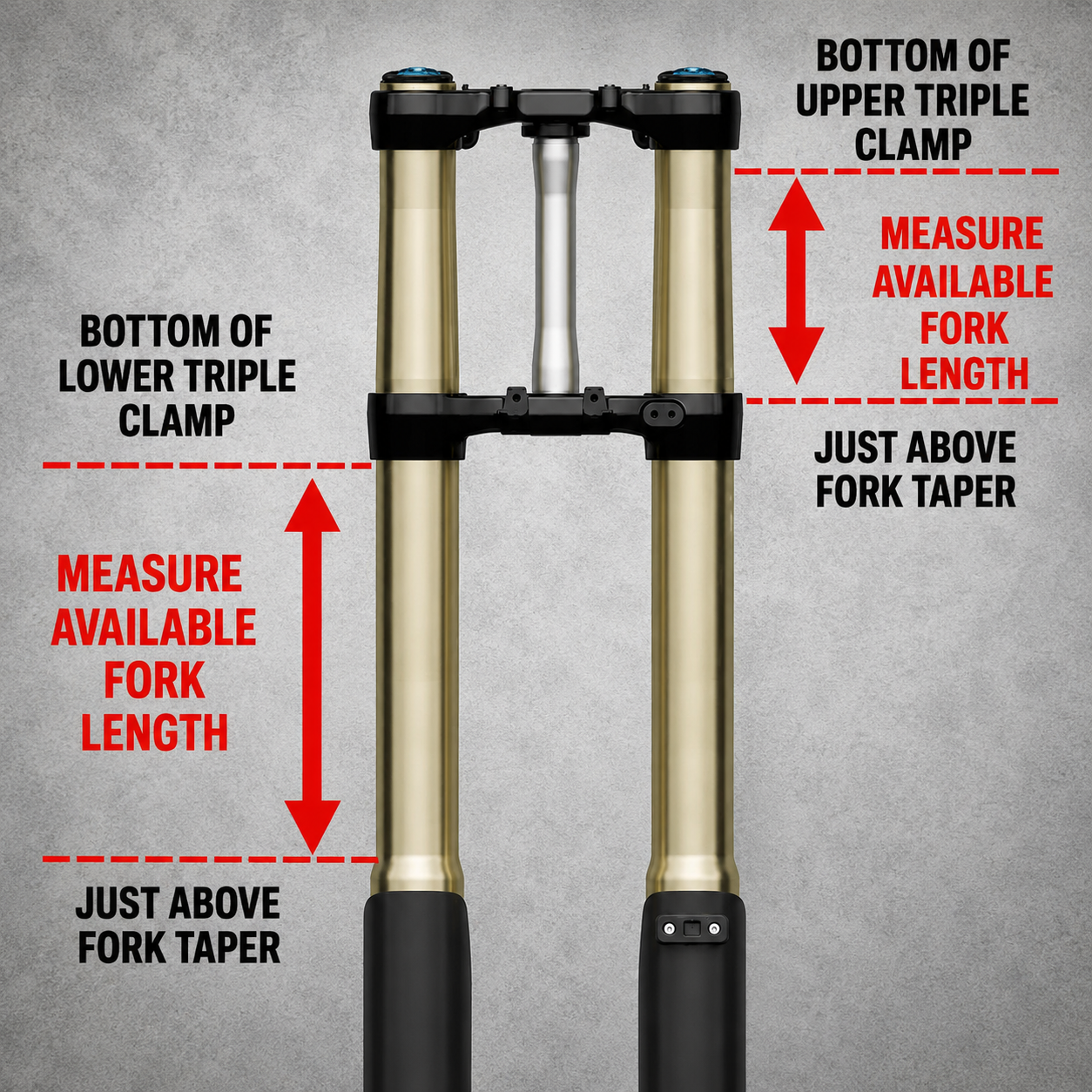 RP fitment.png