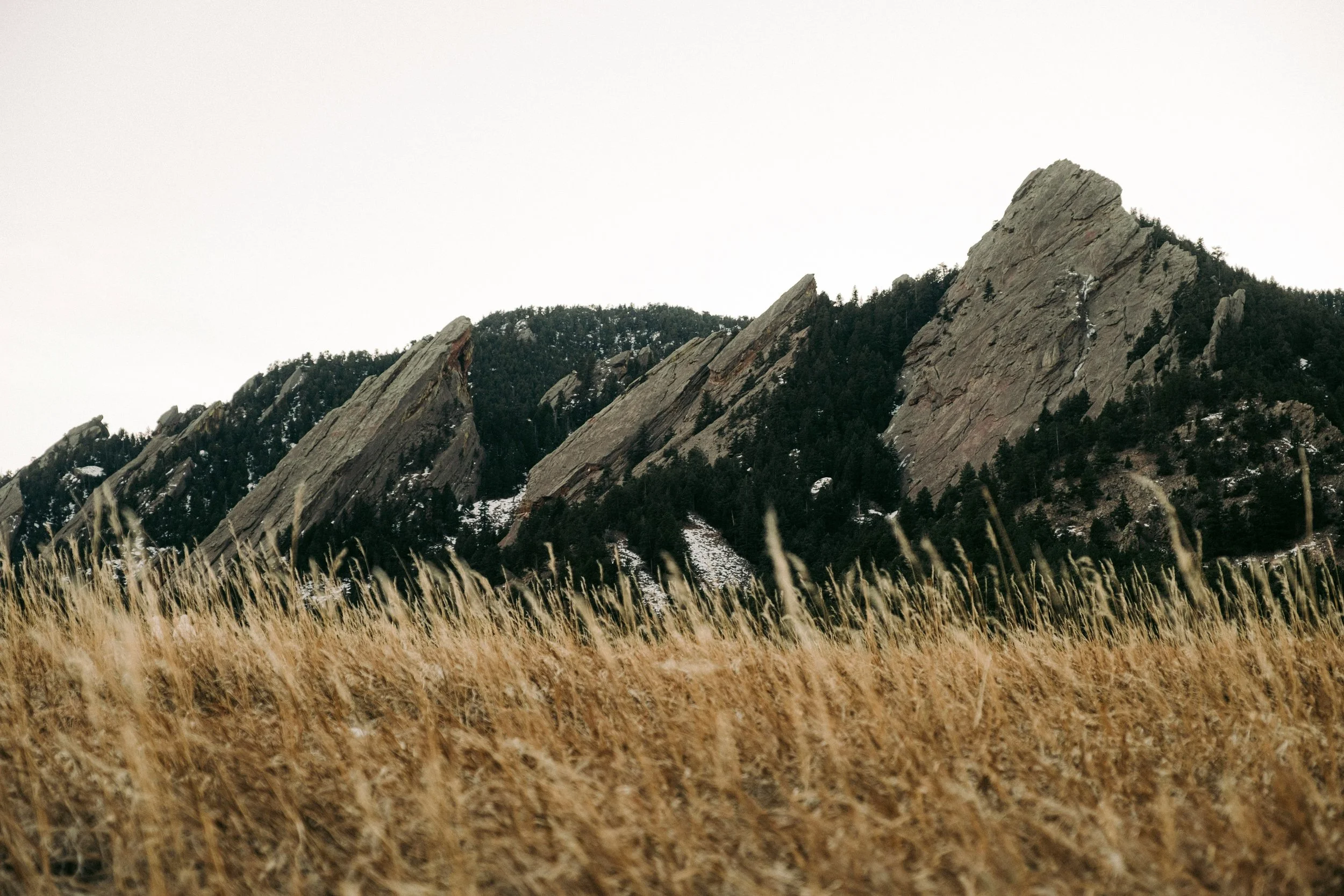 Rocky mountain peaks with snow patches, trees, and tall dry grass in the foreground.
