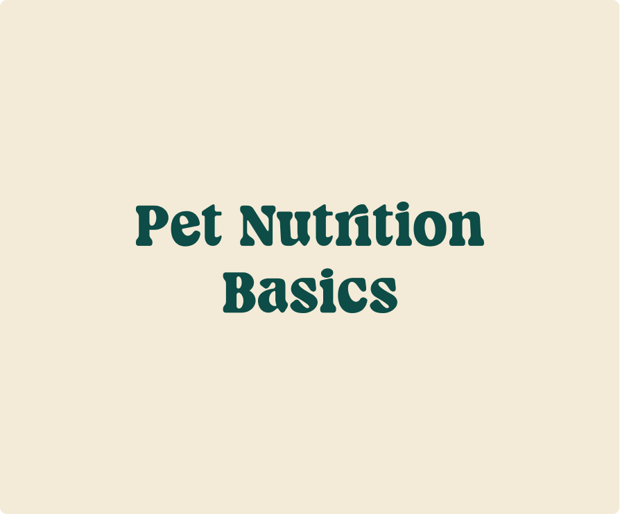 Pet Nutrition Basics.png