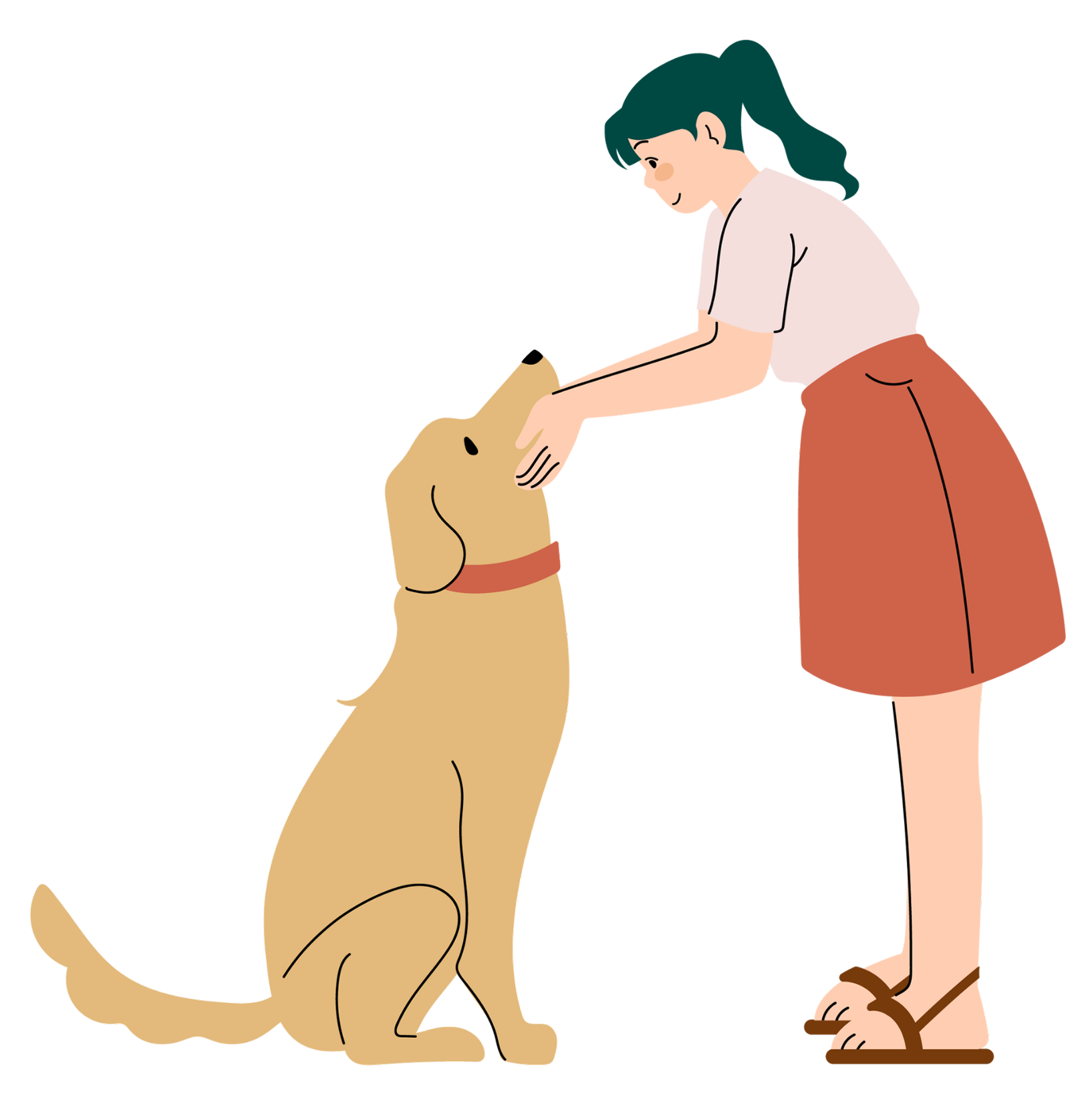 A girl with dark hair and a white shirt is petting a sitting golden retriever dog wearing a red collar.