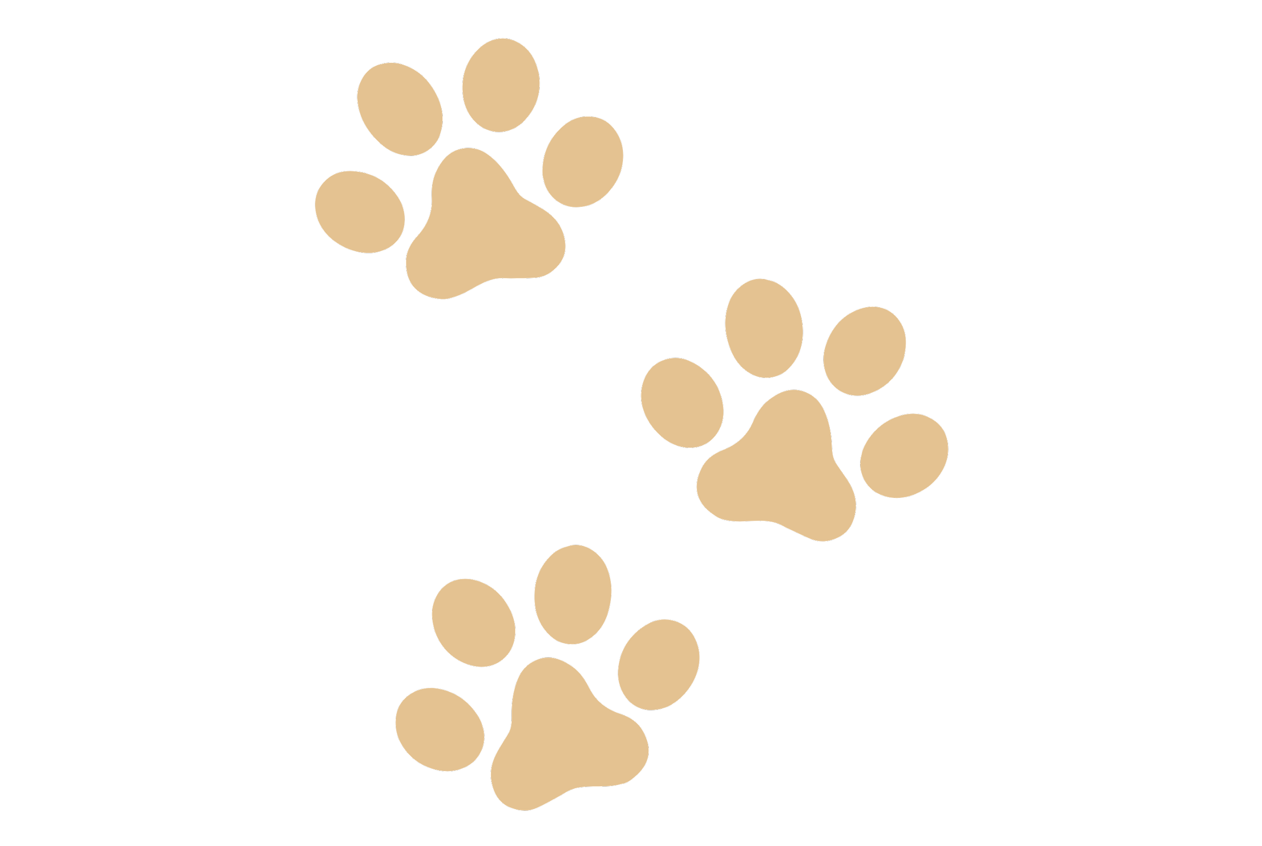 Three beige paw prints on a black background.