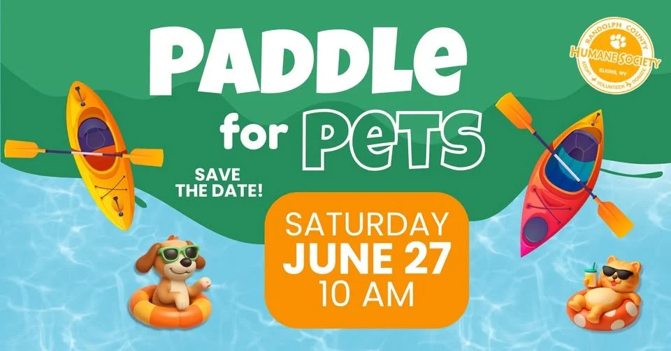 Paddle for Pets