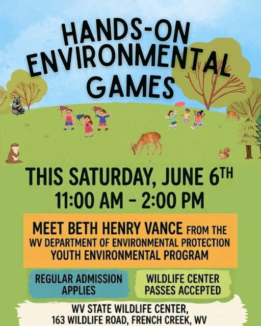 Hands-on Environmental Games