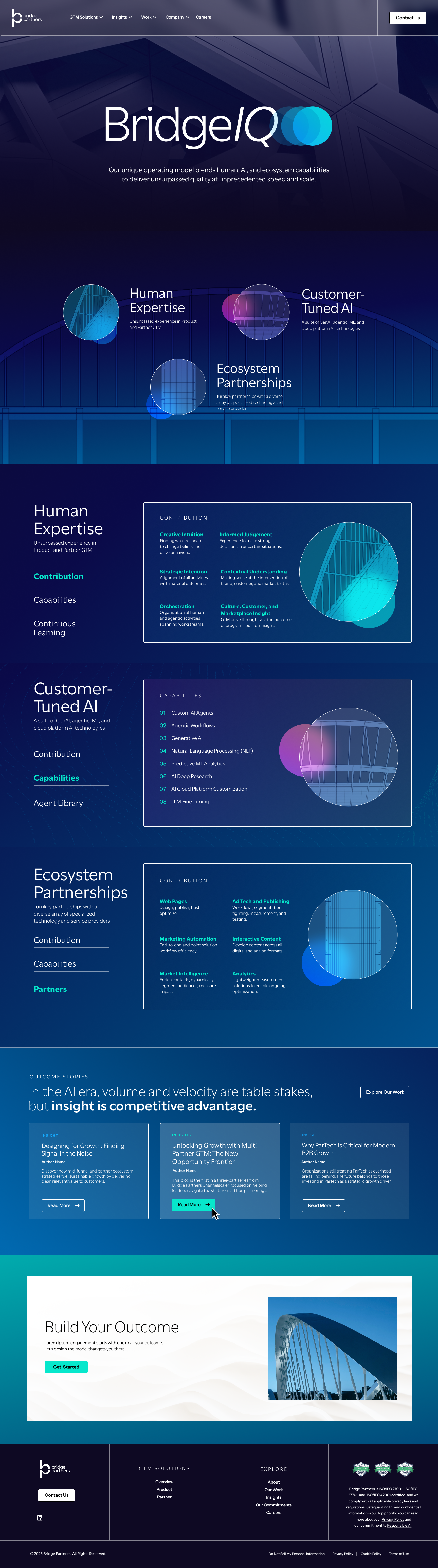 BP Bridge IQ Landing.png