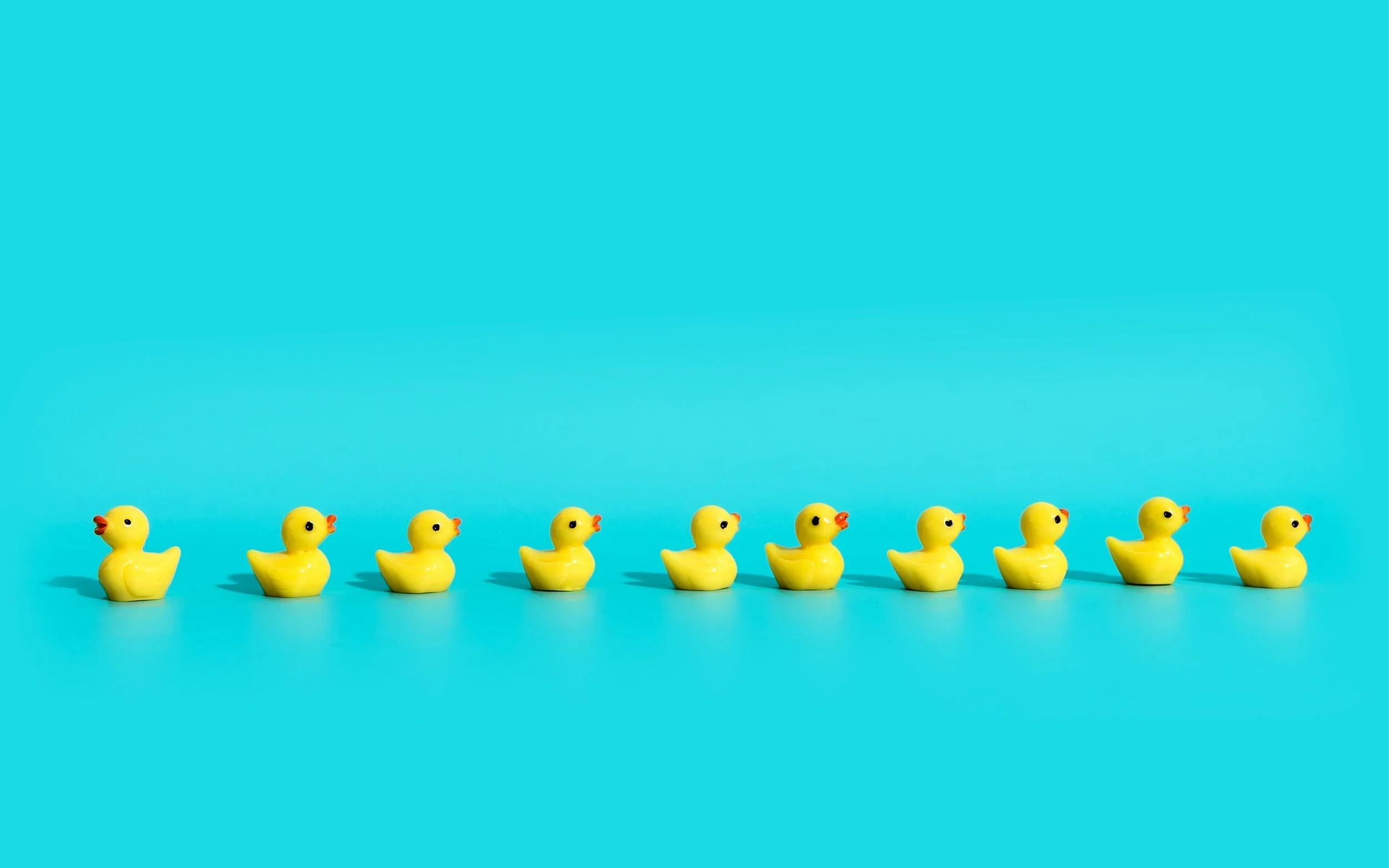 Get Your Ducks in a Row: Unlocking the Power of Audit Reports for Business Success