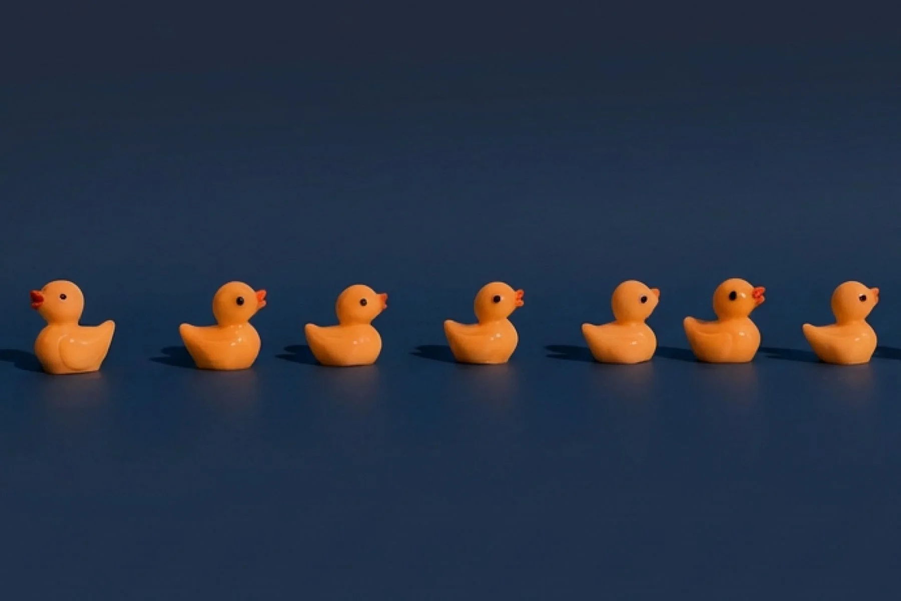 Get Your Ducks in a Row: Unlocking the Power of Audit Reports for Business Success