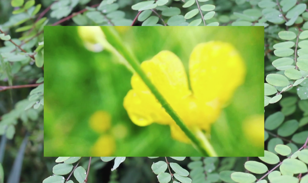 A letter to my past self