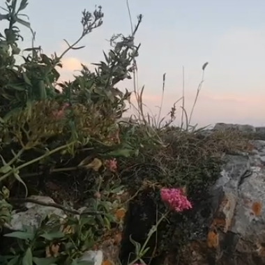 A little trip to North Wales