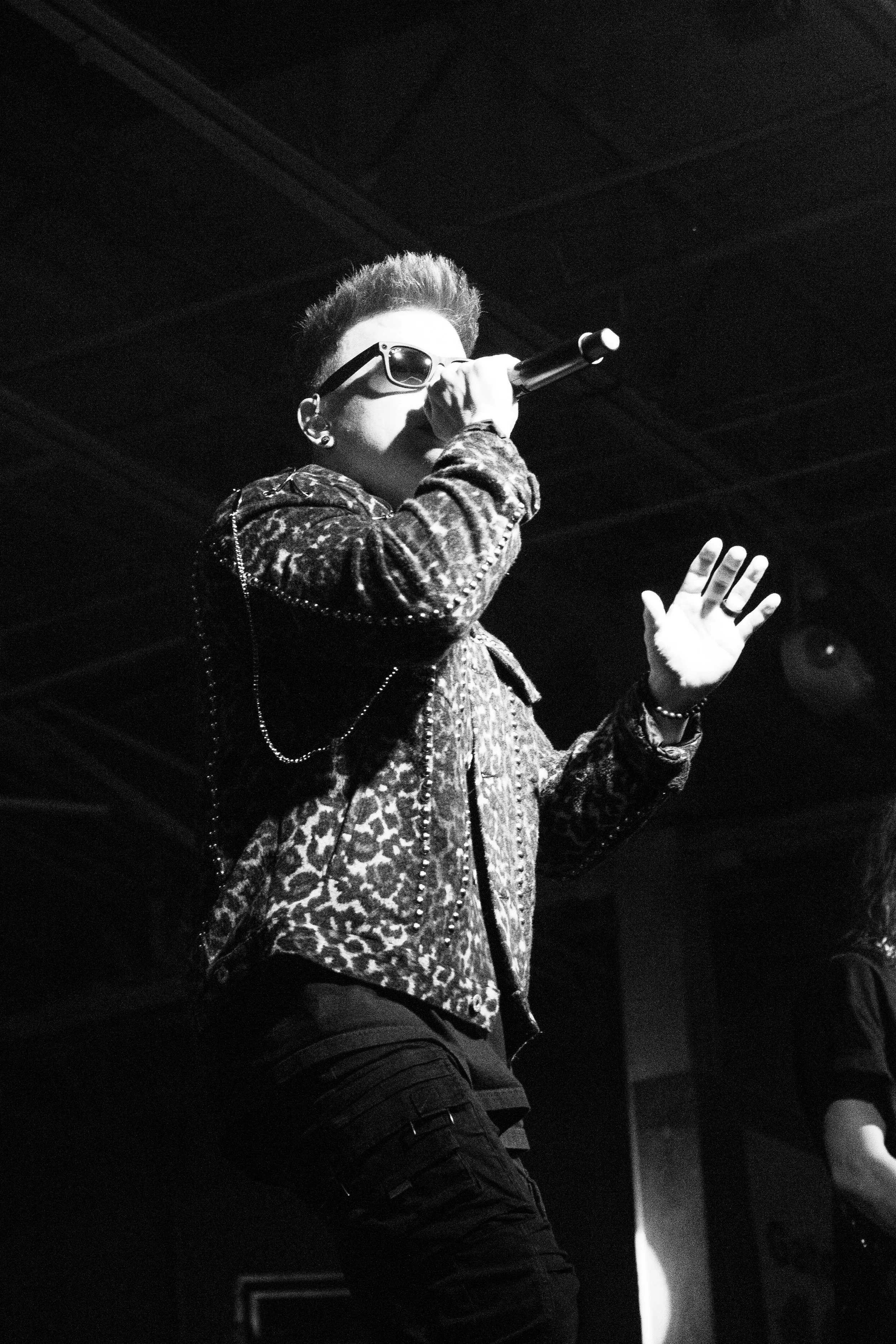 A person singing or performing on stage, wearing sunglasses and a patterned jacket, holding a microphone, with one hand raised.
