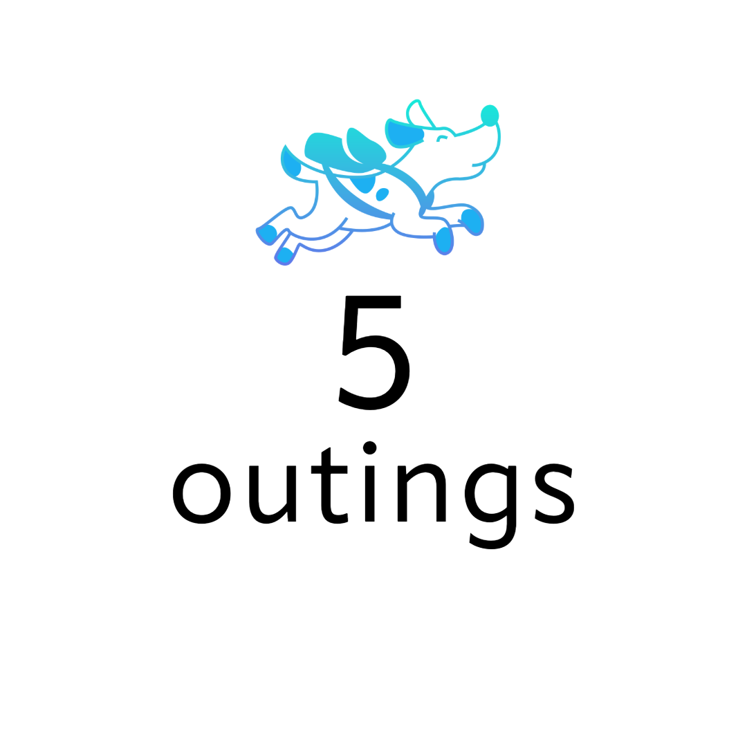 Illustration of a dog pulling a wagon at the top, with text below reading '5 outings' in black