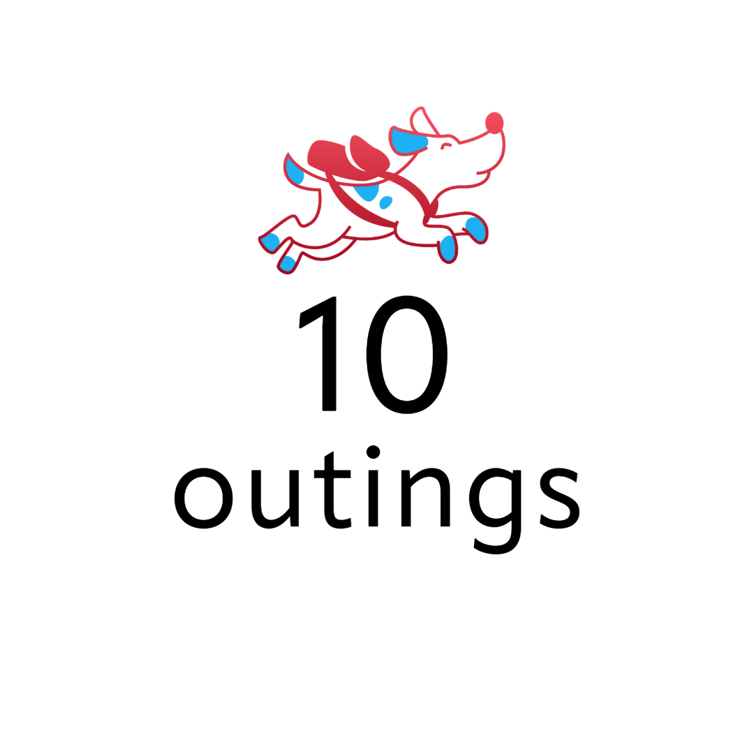 Illustration of a running dog carrying a backpack, with the text '10 outings' underneath.