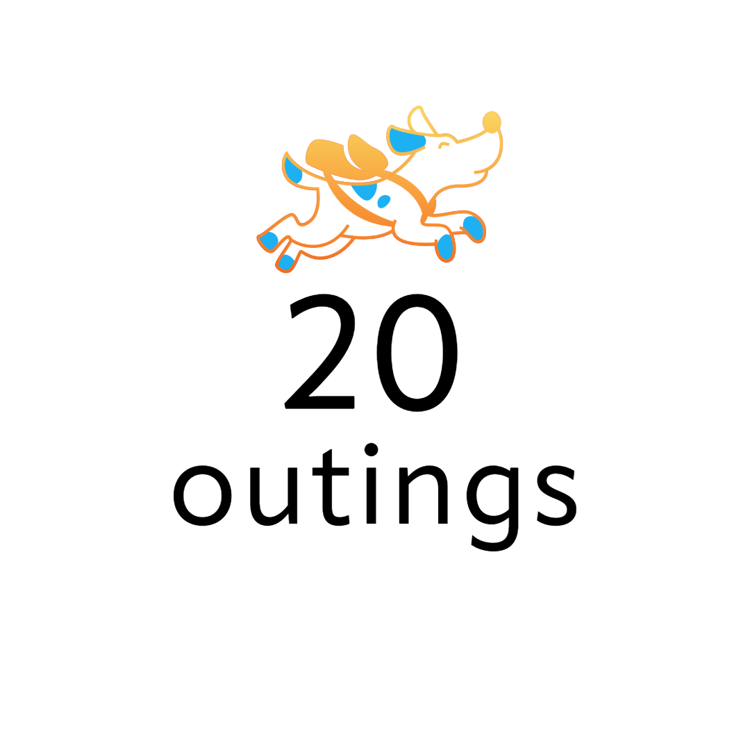 Logo with a cartoon dog running with a backpack above the text '20 outings'.
