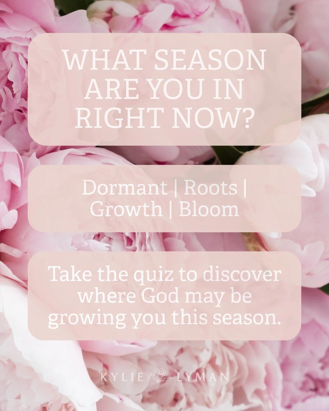 Sometimes the hardest part of growth is not knowing where you are.

Maybe this season feels quiet.
Maybe God is stretching you deeper.
Maybe you&rsquo;re stepping into something new.
Or maybe you&rsquo;re finally seeing the fruit of everything He&rsq