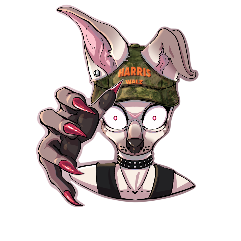 IMG_1384 (1).PNG