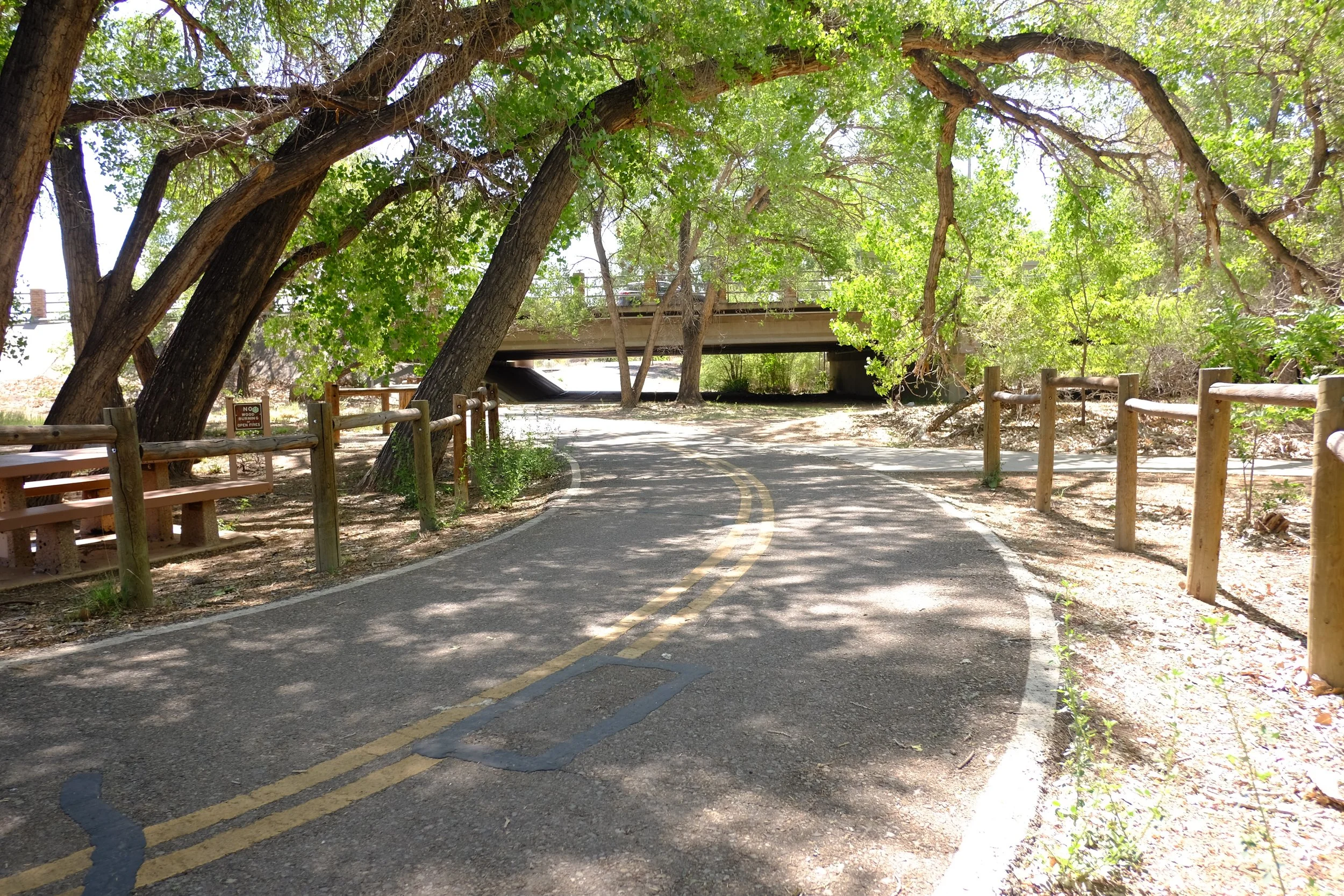 railtrail1083.JPG