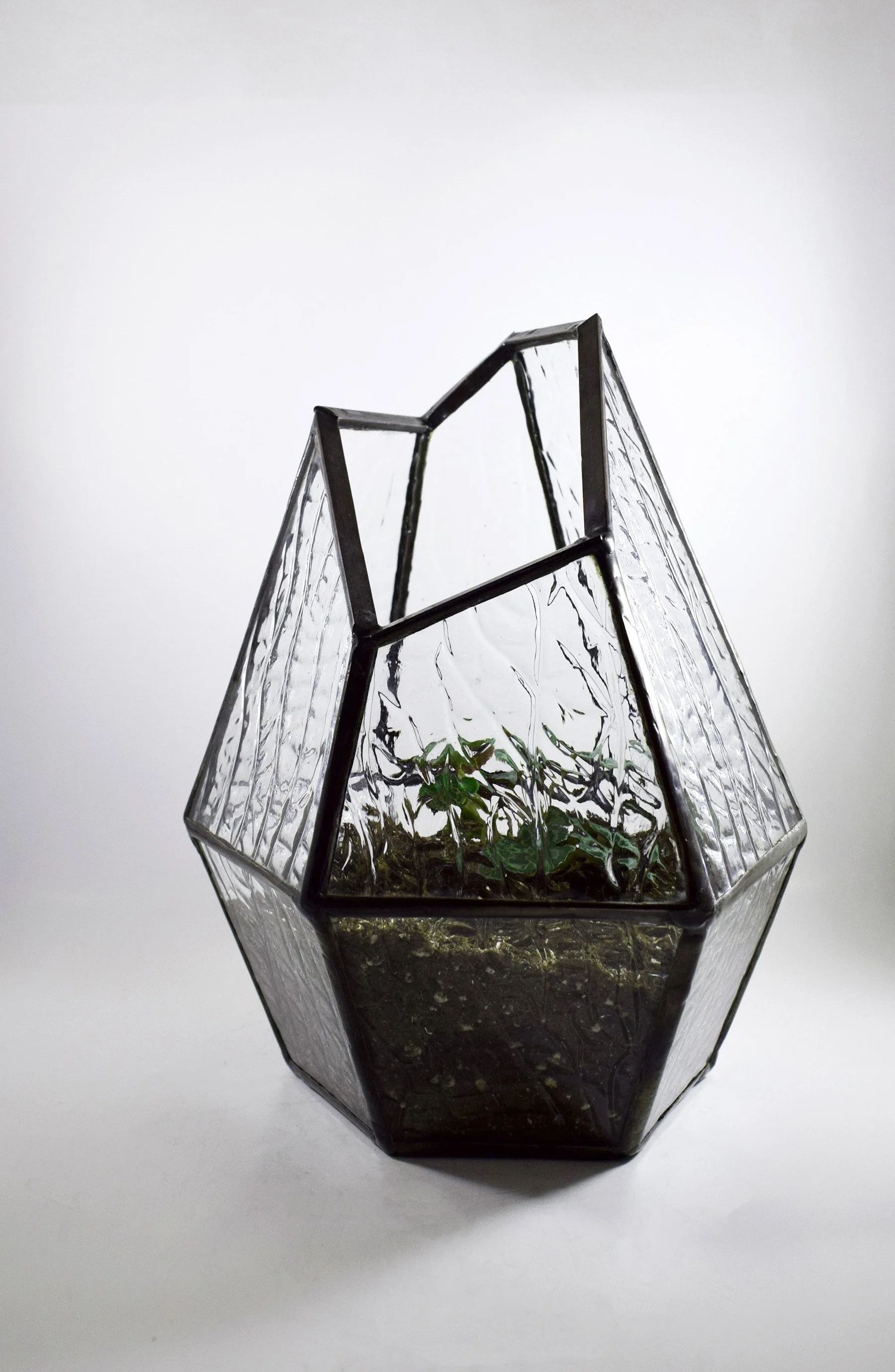 custom-stained-glass-terrarium-cortiza-planter-fort-collins-colorado.jpg