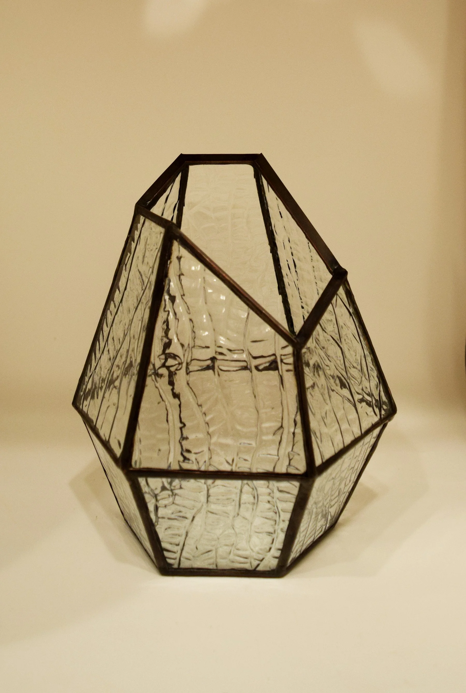 cortiza terrarium 2 copy.jpg