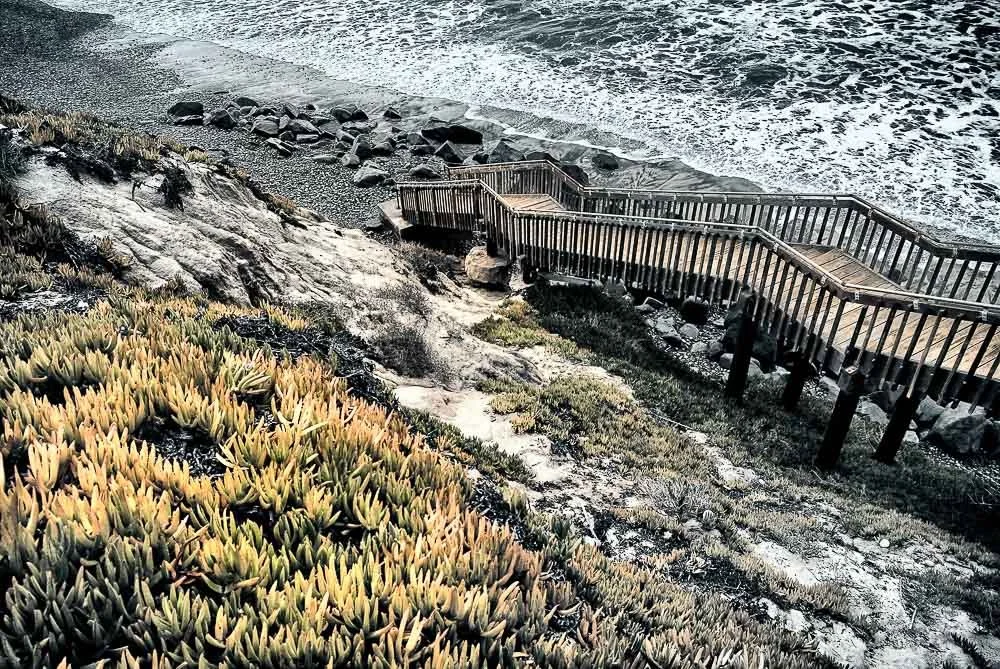 ocean, wooden stairs and iceplant at south carlsbad state beach.jpg