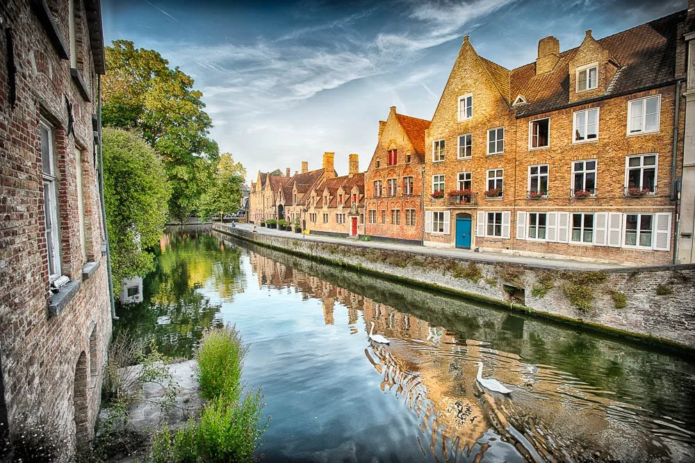 Bruges Swans