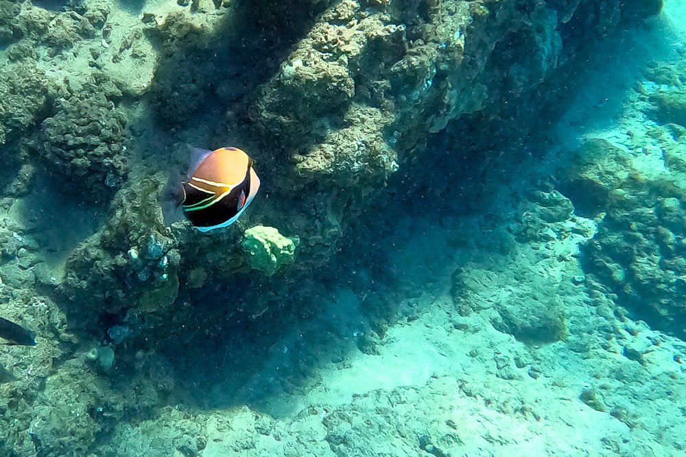 2. Kāʻanapali Beach | Hawaii 2021