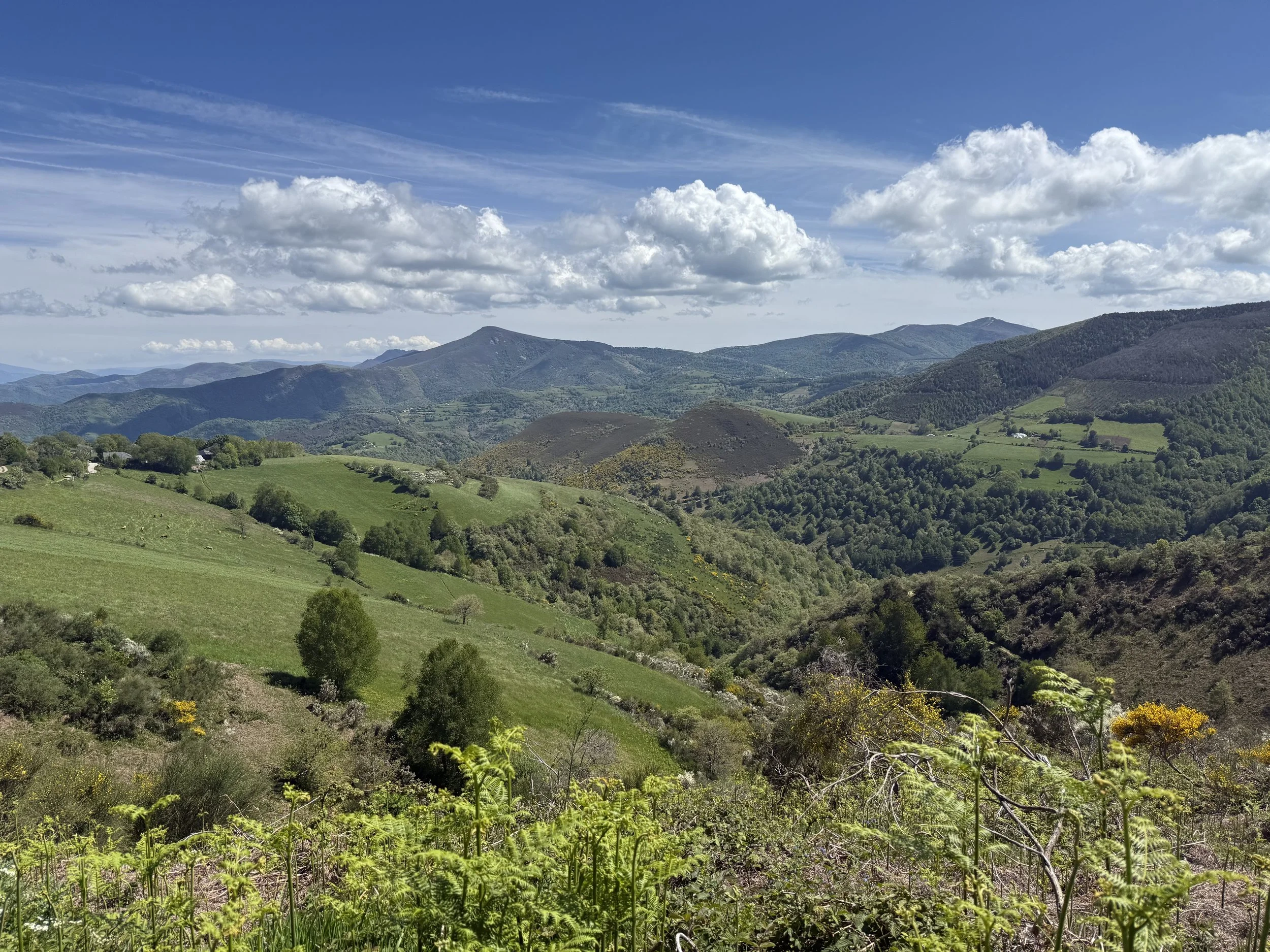 Scenic view of green rolling hills and mountains under a partly cloudy sky.