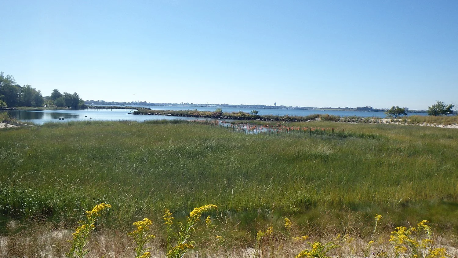 Soundview Park tidal wetland restoration, Army Corps of Engineers, NYSDOS, DSNY, NYC Parks. 
