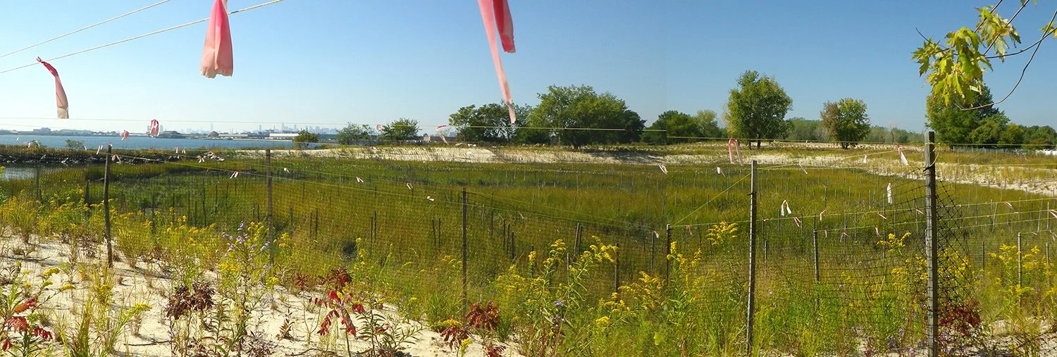 Soundview Park tidal wetland restoration, Army Corps of Engineers, NYSDOS, DSNY, NYC Parks. Kathleen was the project manager for NYC Parks.