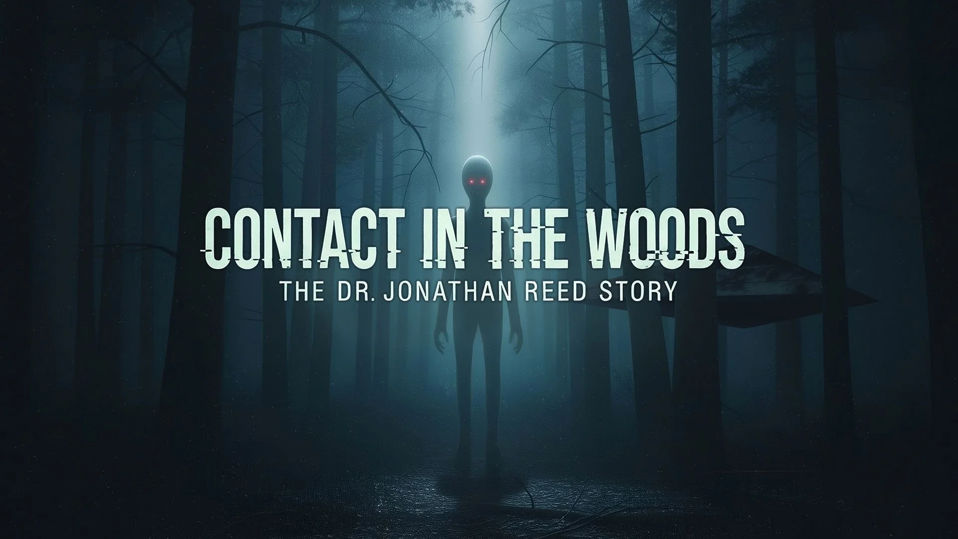 Contact in the Woods - 1920x1080.jpg