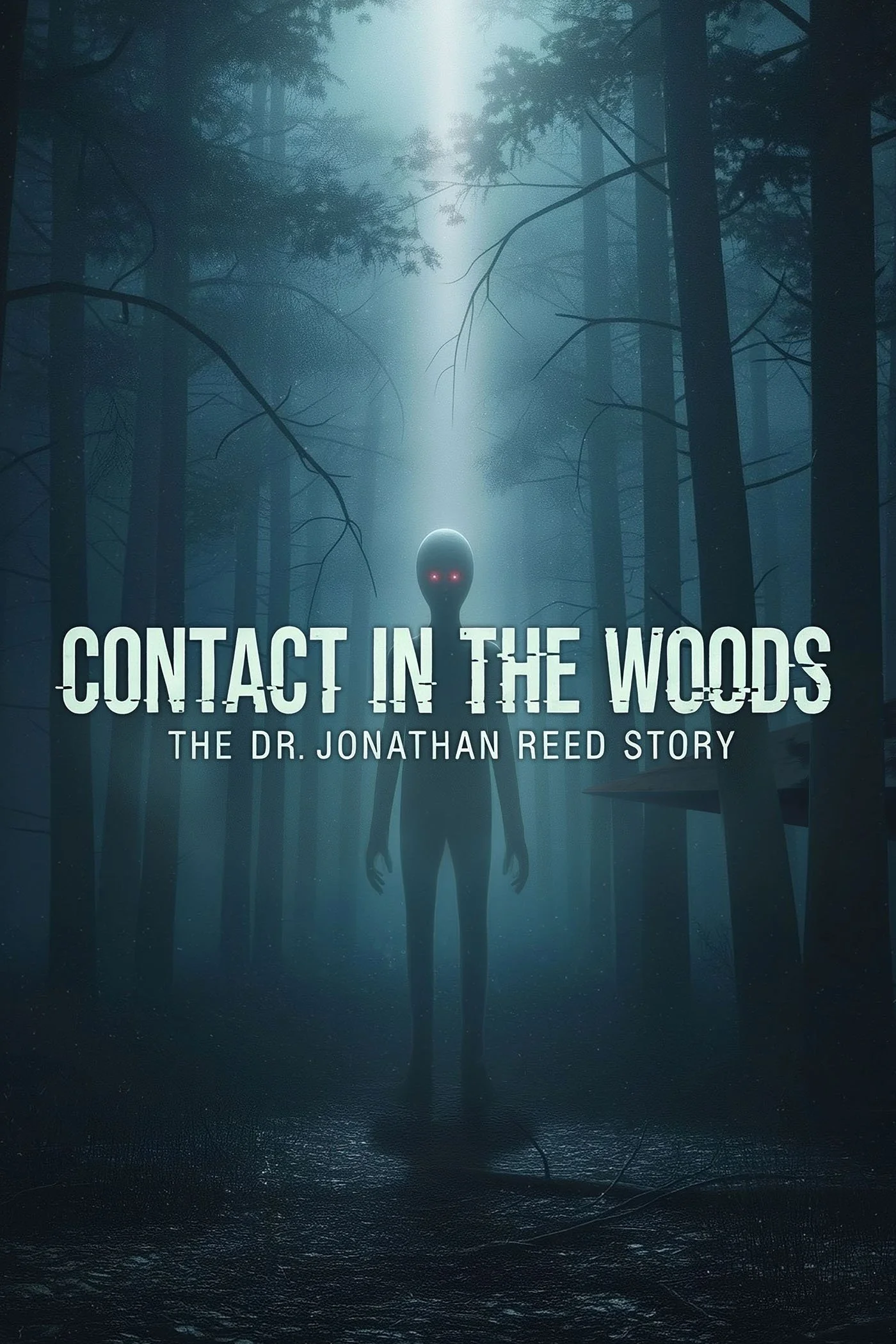 Contact in the Woods - 1400x2100.jpg