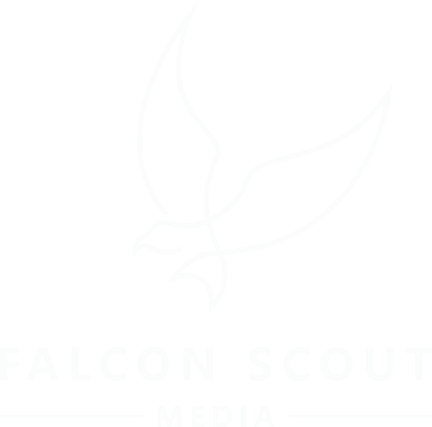 Falcon Scout Media
