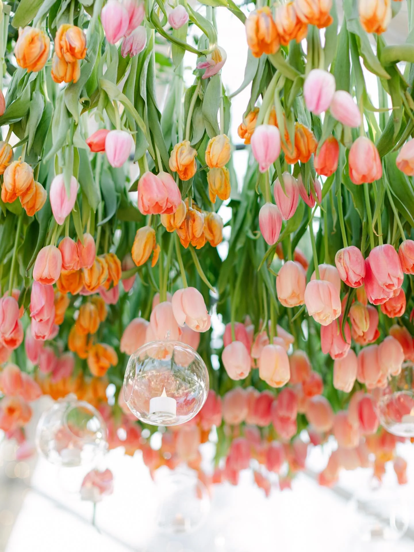 Spring is in the air, and I love all that it represents. New beginnings, fresh growth, and the quiet kind of beauty that reminds us there is still so much to look forward to. Cheers to a season of blooming, dreaming, and embracing all the sweet momen