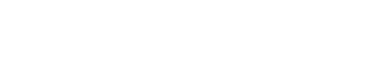 Southern Bride magazine logo