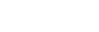 Wedding Chicks logo