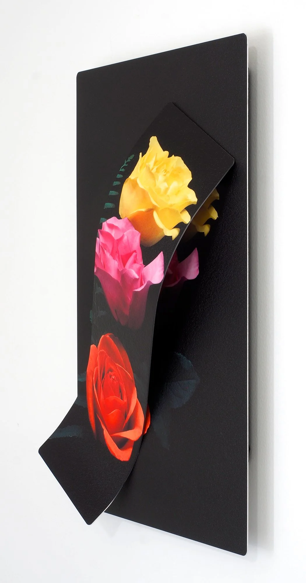 corner of image of a trio of roses