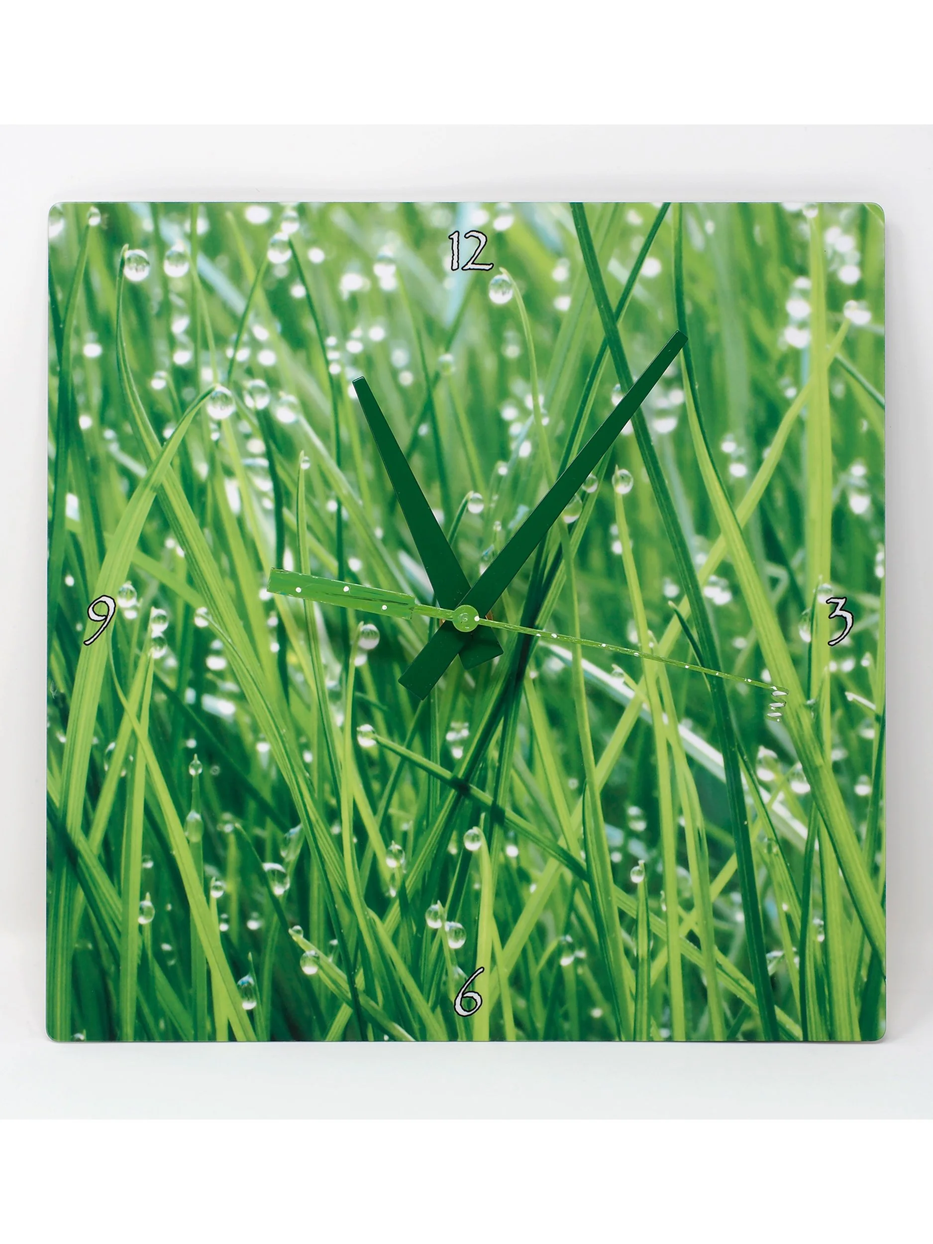 New Grass