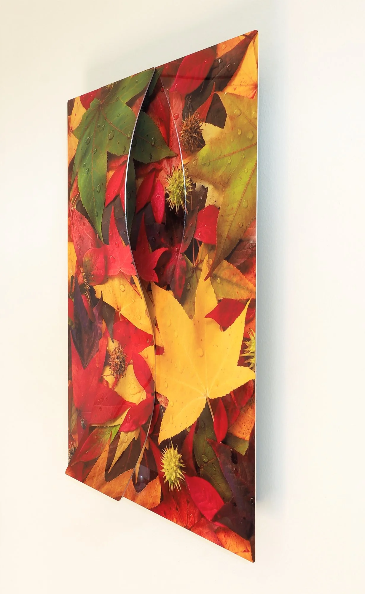 autumn-colors-3-4.jpg