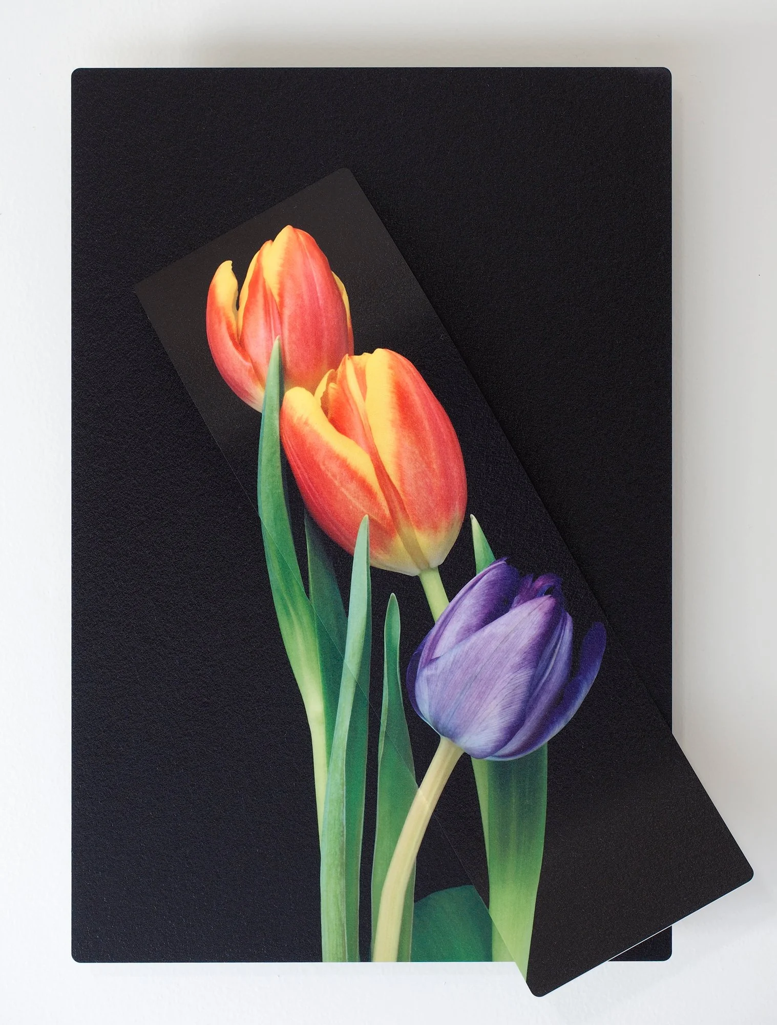 Tulips sublimated on aluminum with a 3D effect