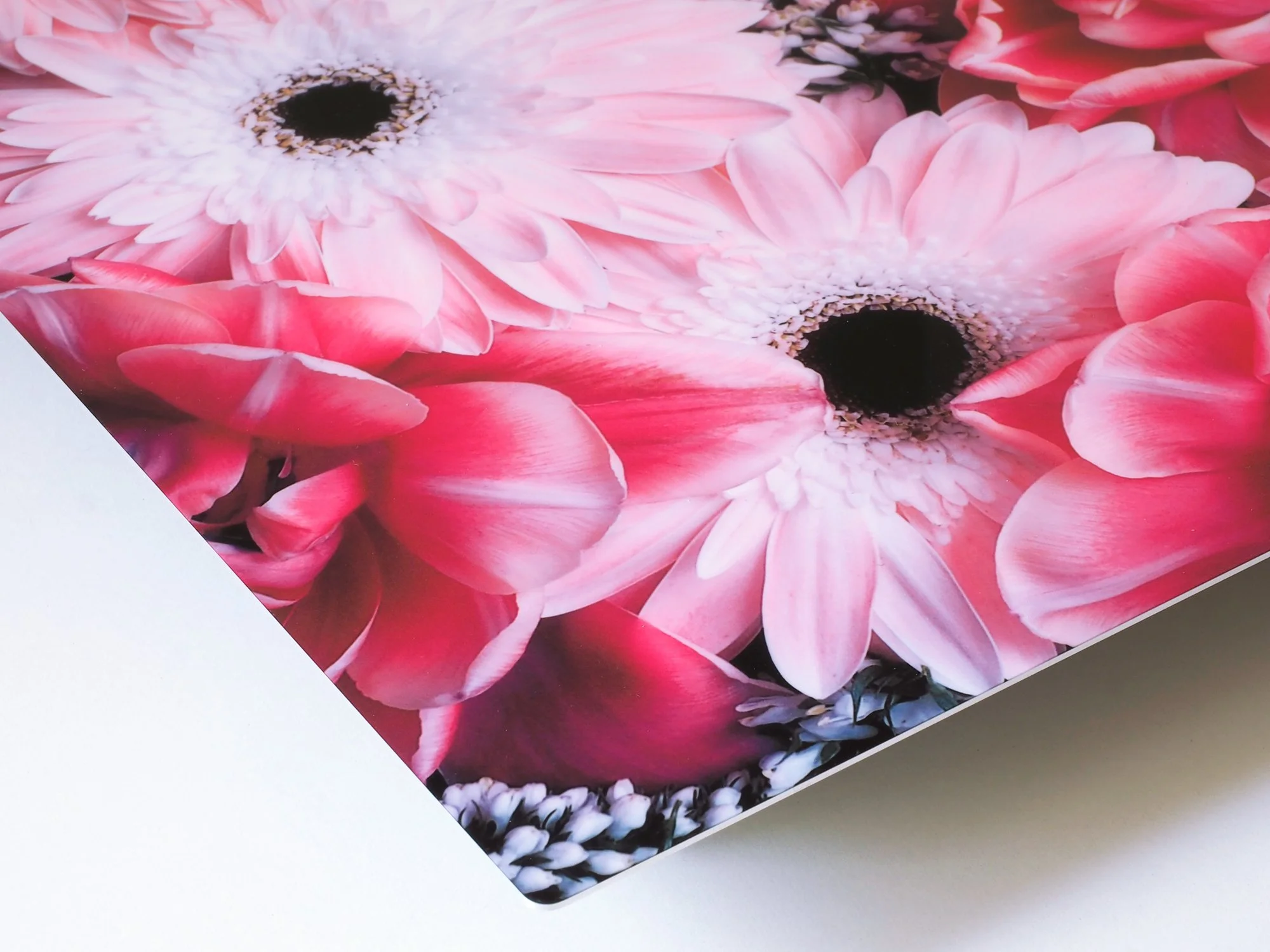 corner of image of a tulips and gerbera flowers showing aluminum