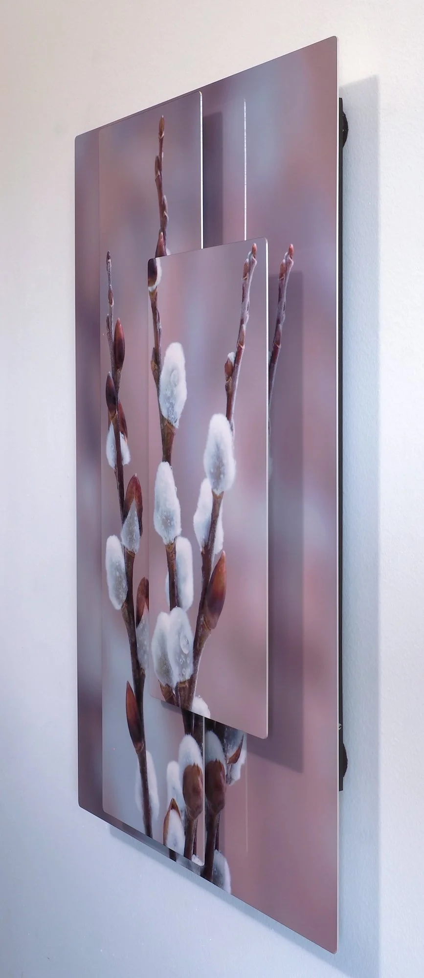 pussywillow-3-4-view.jpg
