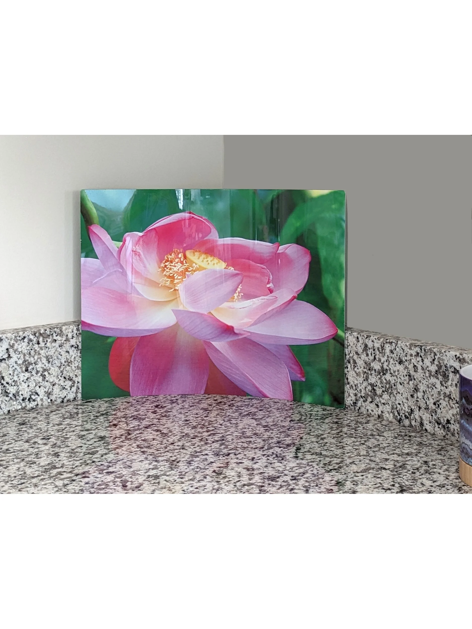 PP-stand-up-kitchen.jpg