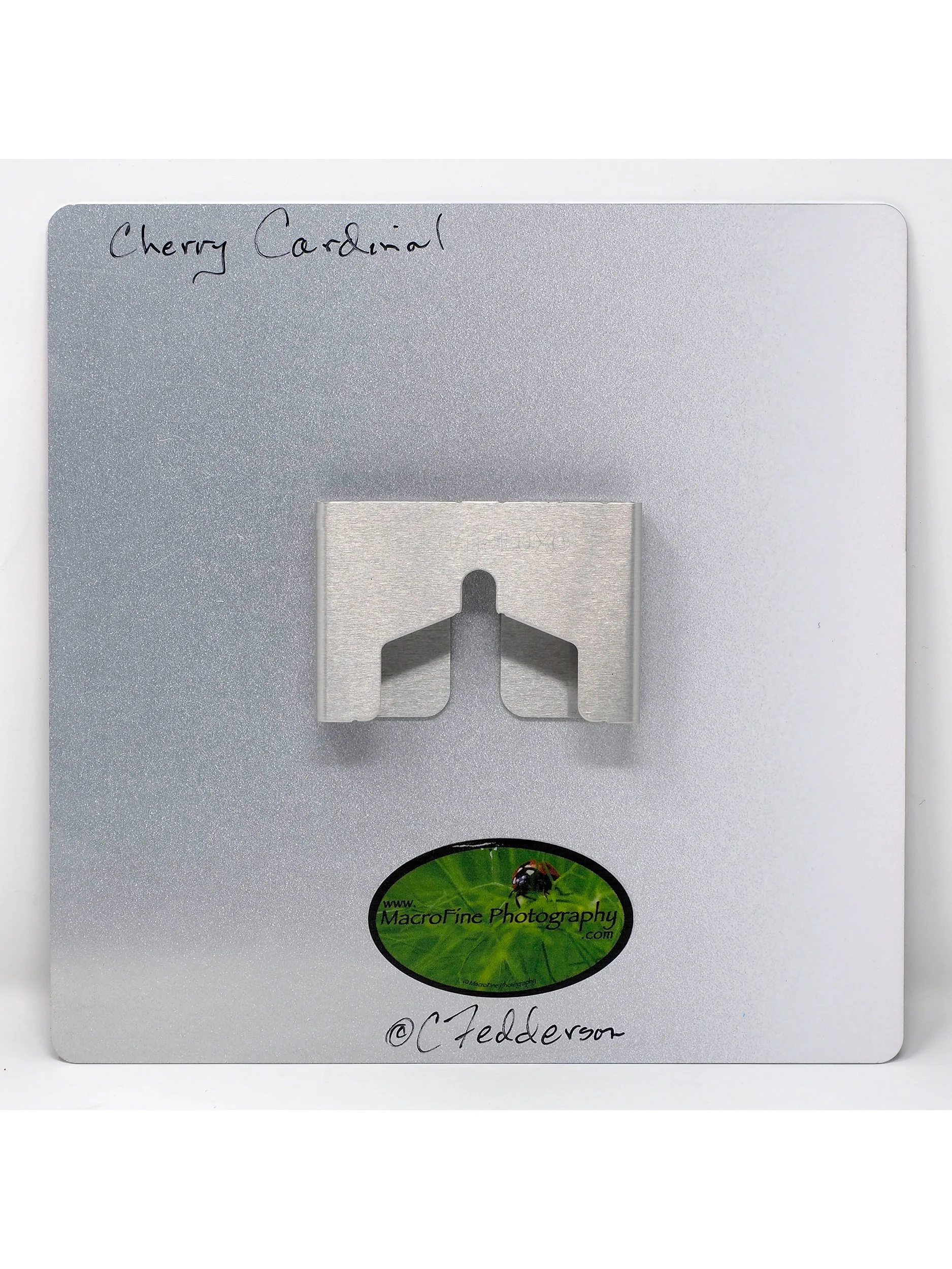 Cherry-card-back-singal-panel.jpg