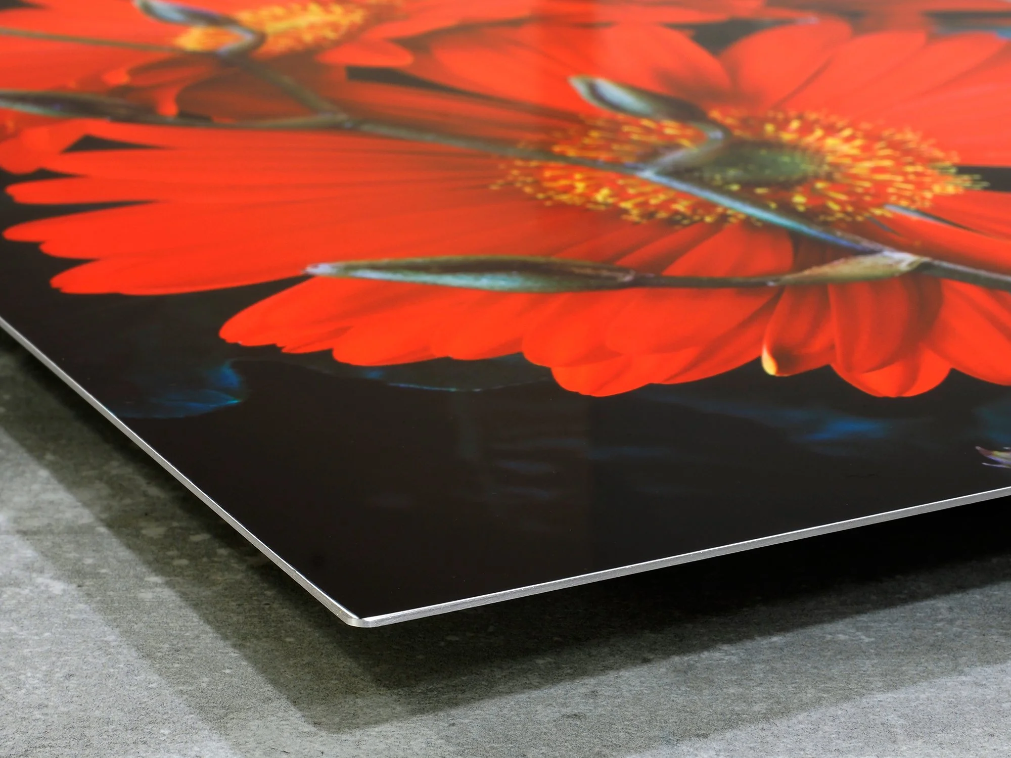 corner image of red gerbera daises and orchid stem