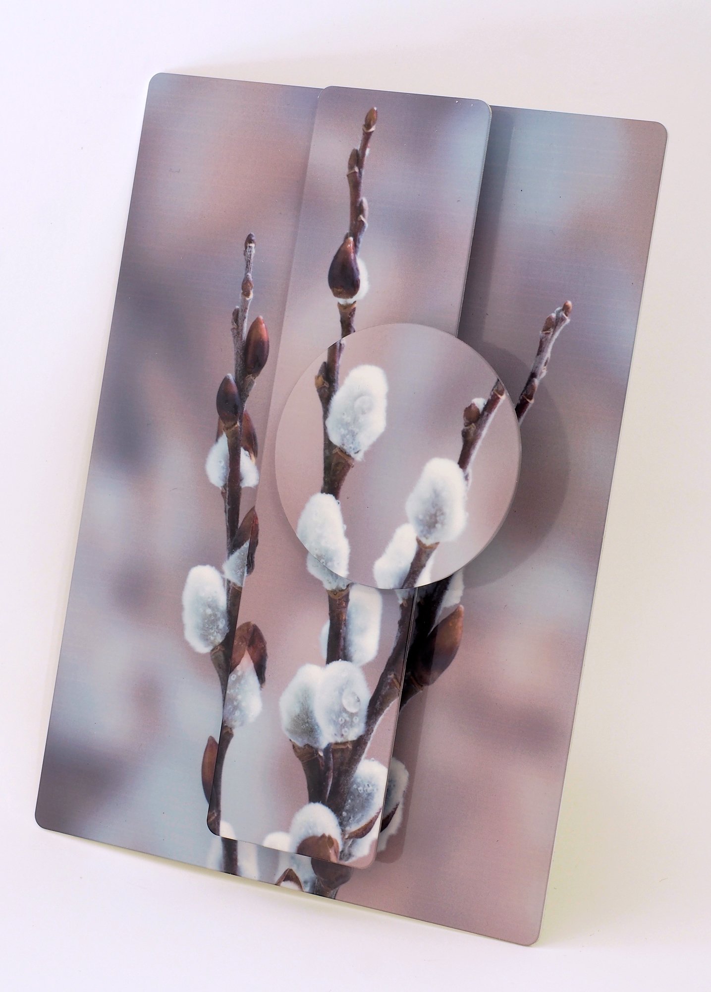 5x7-pussywillows-3-4.jpg