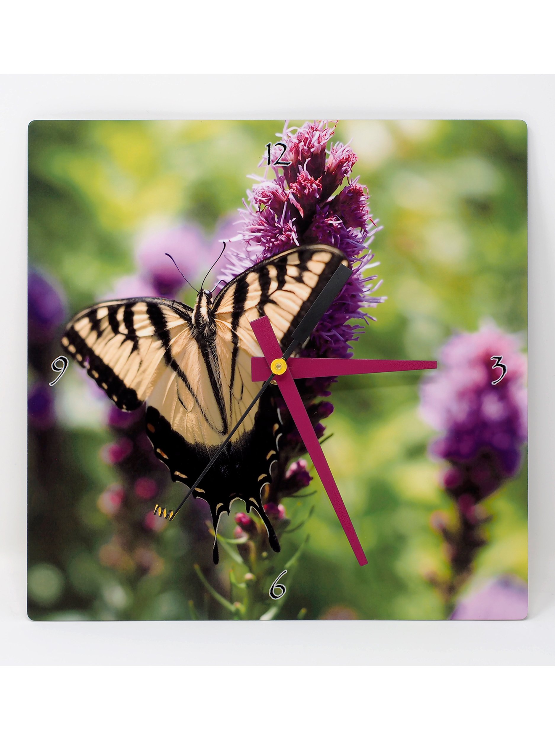 Wings of Change