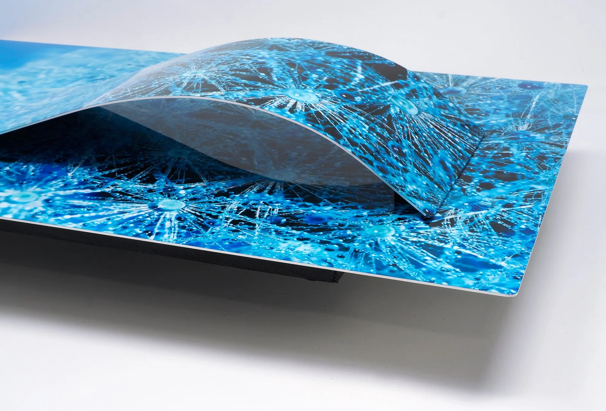 corner of a close-up image of a dandelion