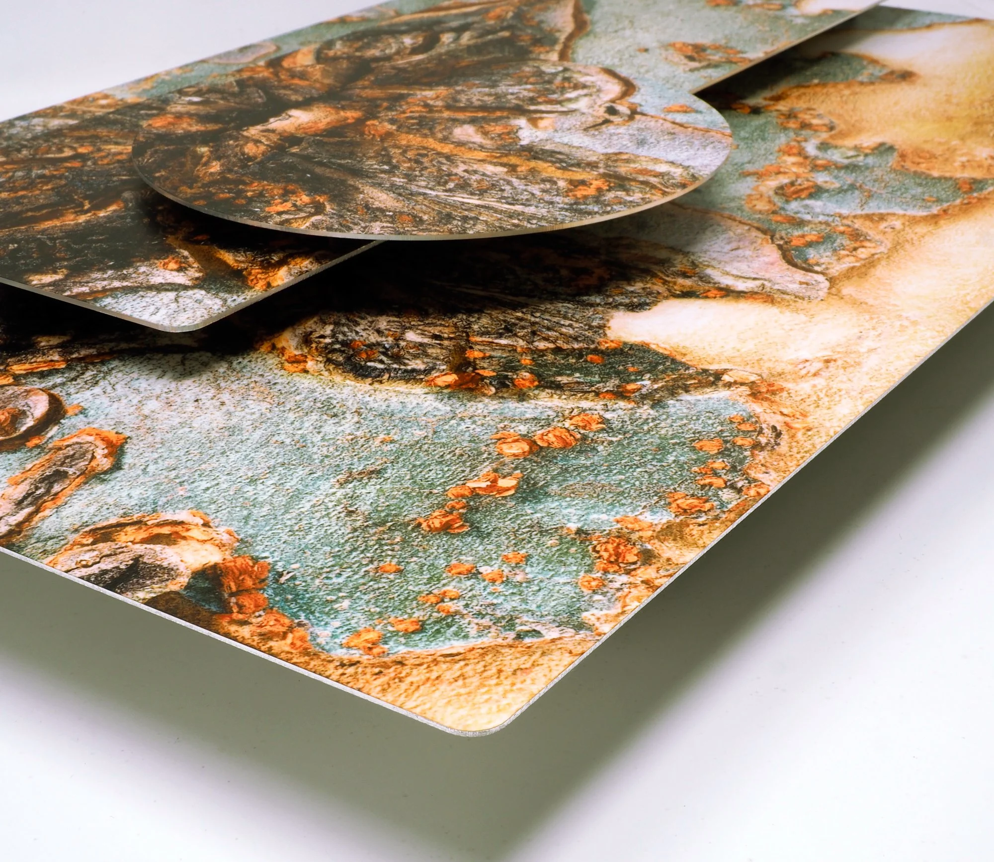 corner view of sculptural image of a close-up of Chinese elm bark