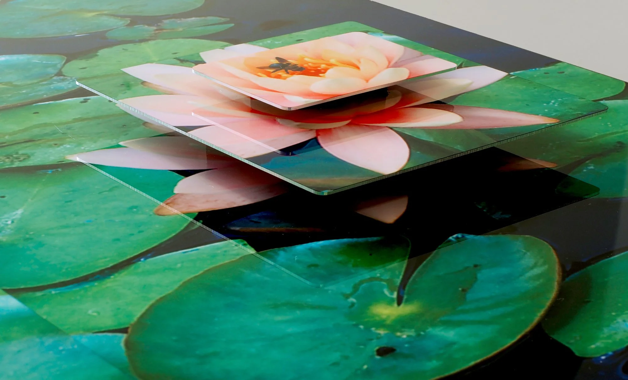 close-up view of an image of a large sculptural piece of lily pads and flowers