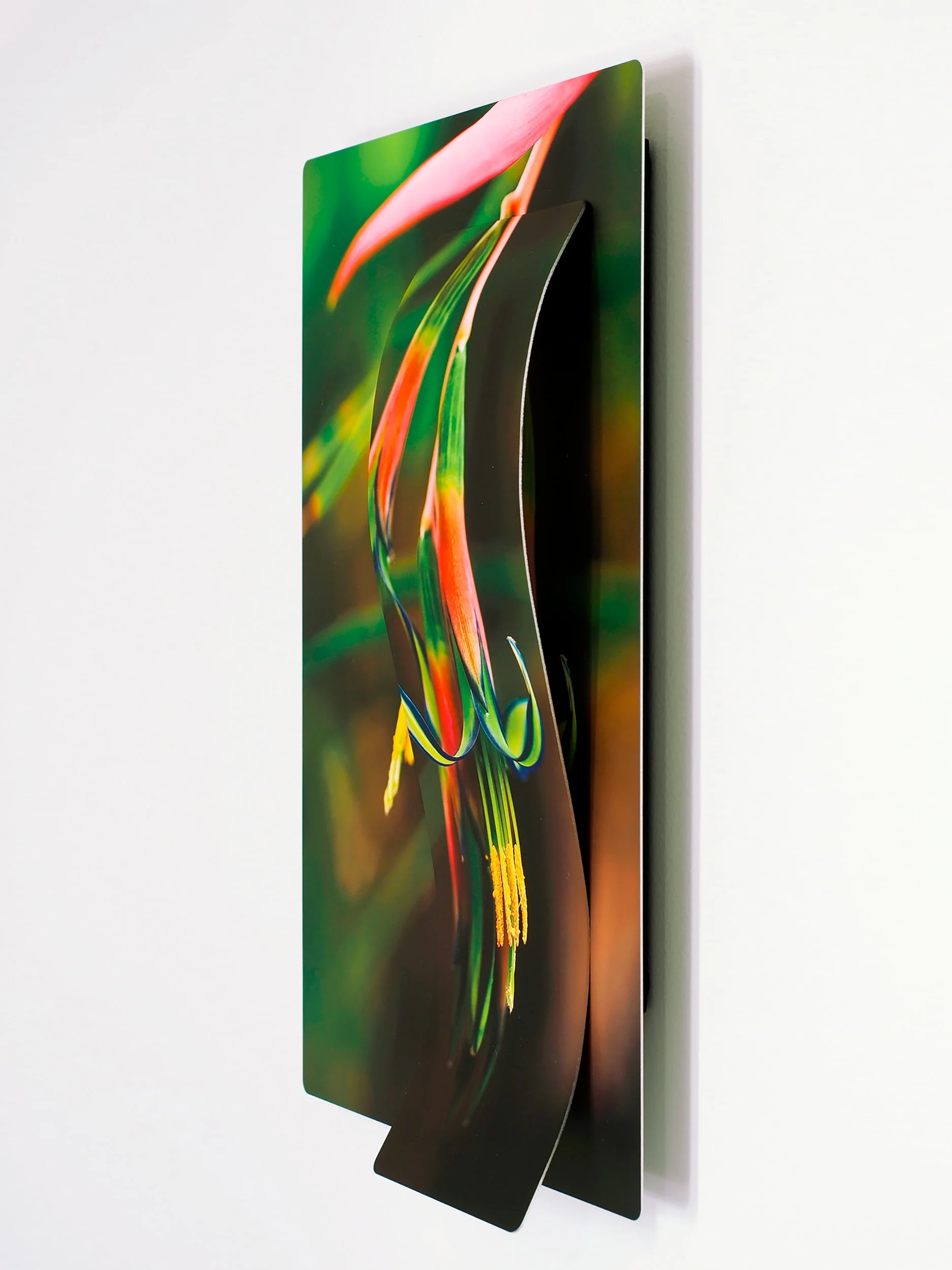 corner view of image of Queens tears flower from brazil