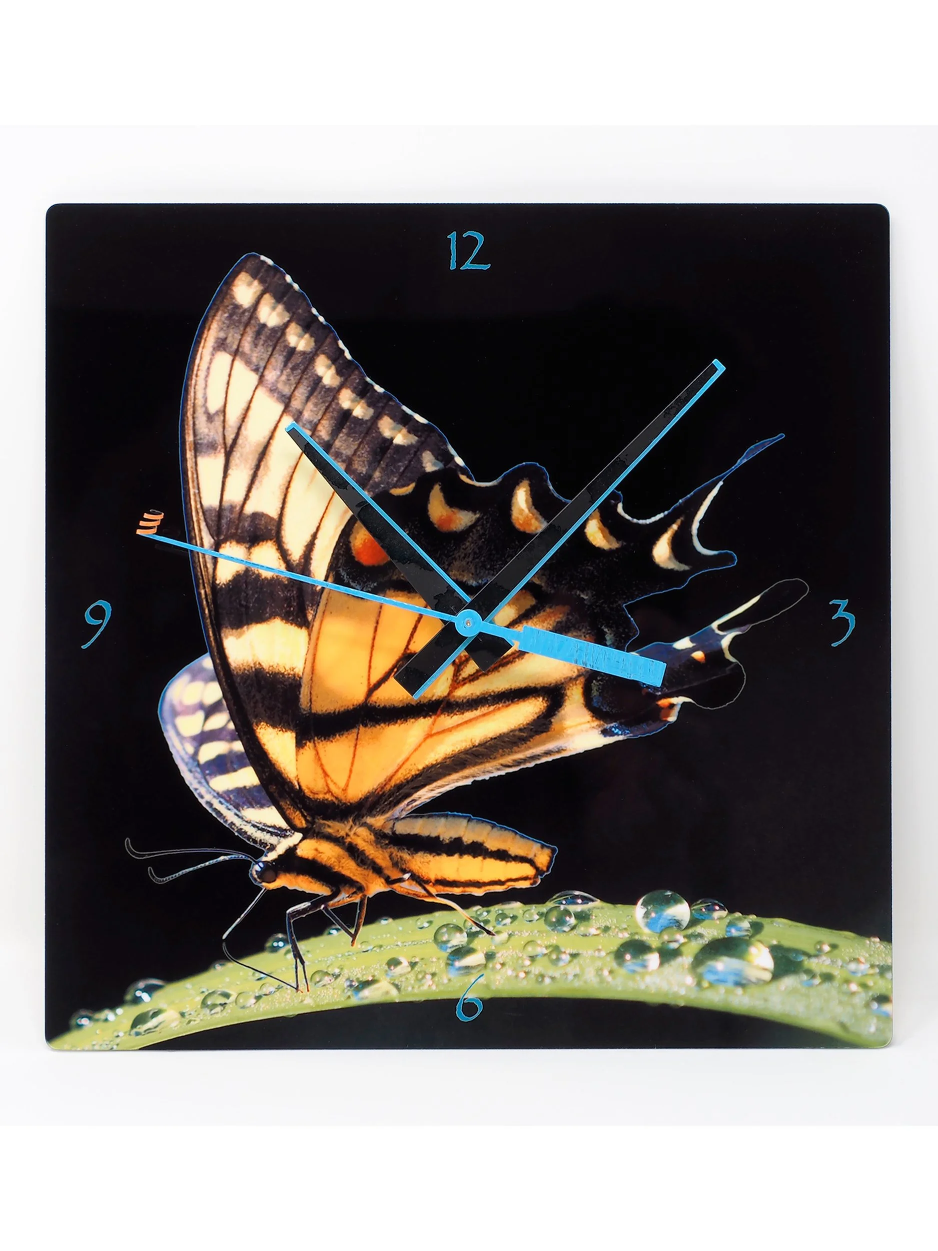 Morning Dew - Clock